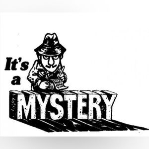 Women’s Pants Mystery Box - Size 12